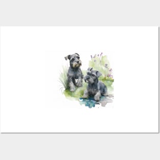 Two Black Miniature Schnauzers Playing Watercolour Painting Posters and Art